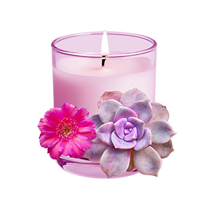 Cactus bloom candle